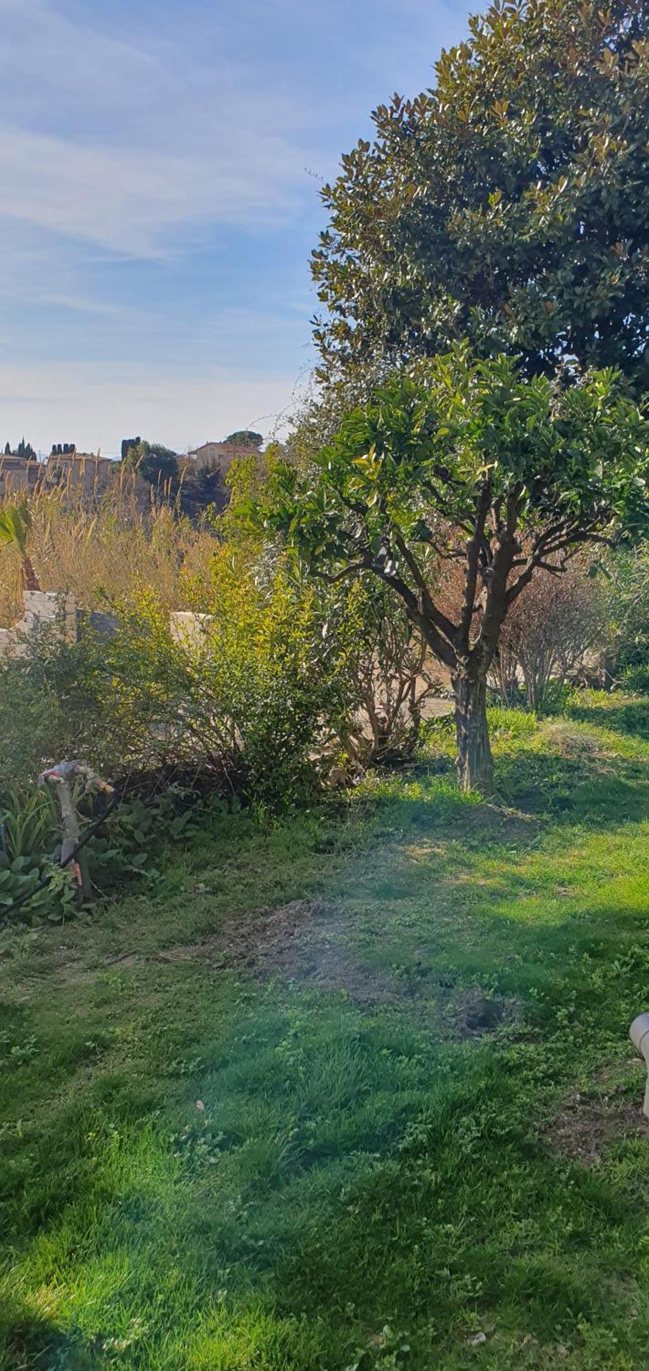 Plein Sud Βίλα Tourrettes-sur-Loup Εξωτερικό φωτογραφία